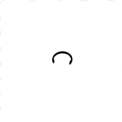 Picture of Ring - Snap