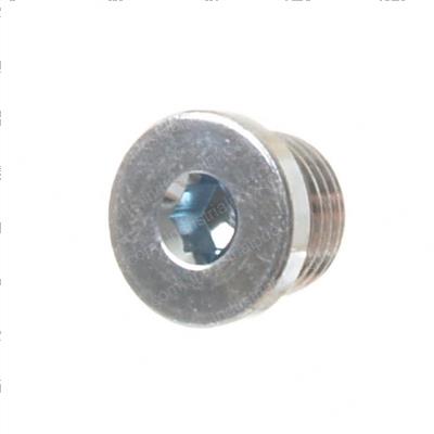 Picture of Plug - Hollow He