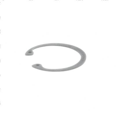 Picture of Snap Ring