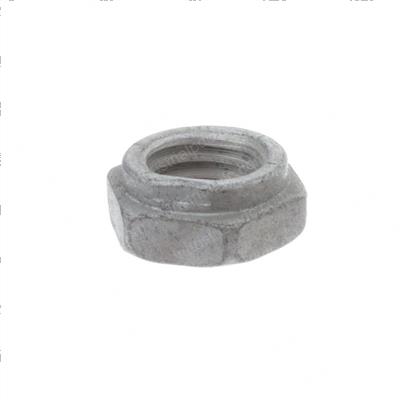 Picture of Nut