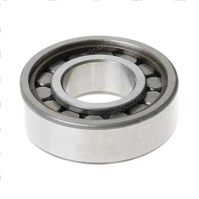 Picture of Bearing