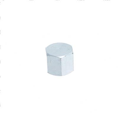 Picture of Female Cap Plug