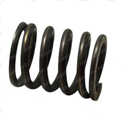 Picture of Spring - Hold Down