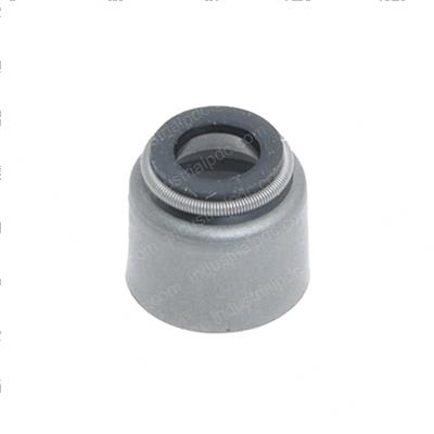 Picture of Seal