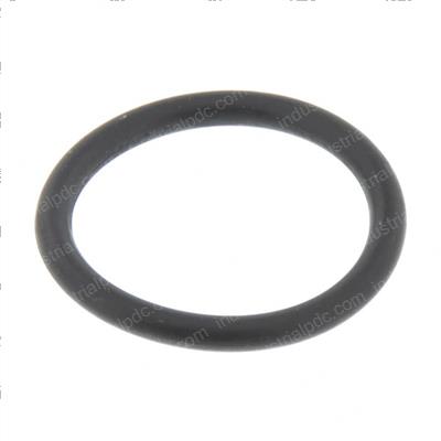 Picture of O-Ring