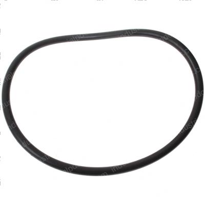 Picture of O-Ring
