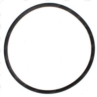 Picture of Ring-Back-Up