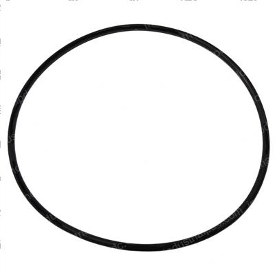 Picture of O-Ring