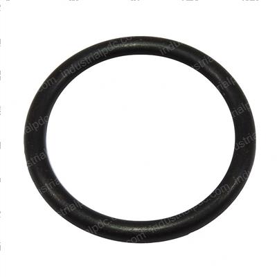 Picture of O-Ring