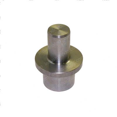 Picture of Pin Pivot Mast Support