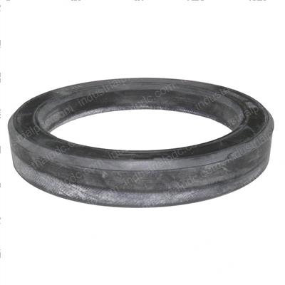 Picture of Seal
