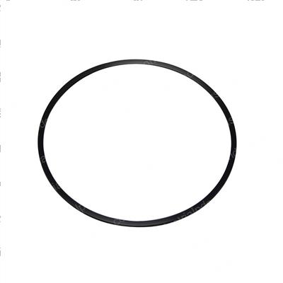 Picture of Ring - Back Up