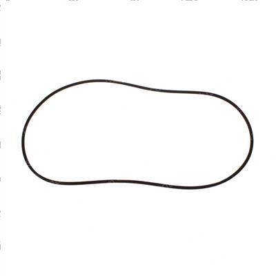 Picture of O-Ring