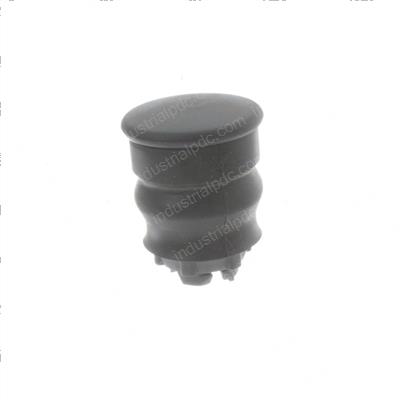 Picture of Asm - Button and Boot