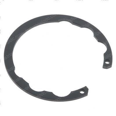 Picture of Ring Snap