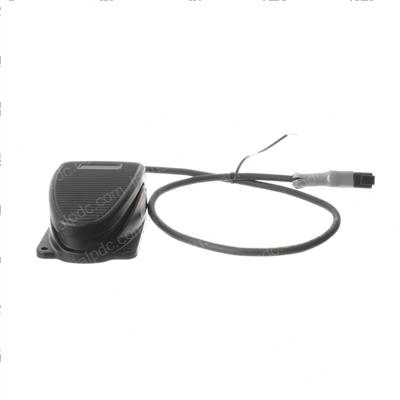 Picture of Switch - Foot