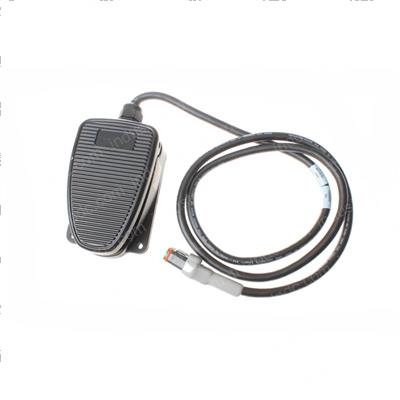 Picture of Switch - Foot