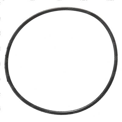 Picture of Ring - Seal