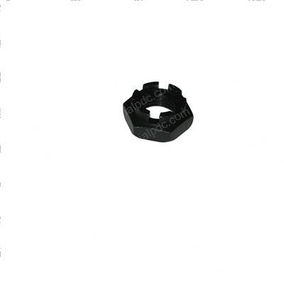 Picture of Nut