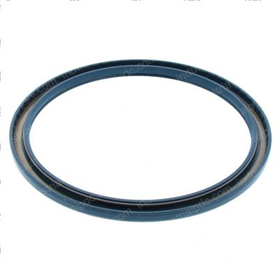 Picture of Seal Ring J013838