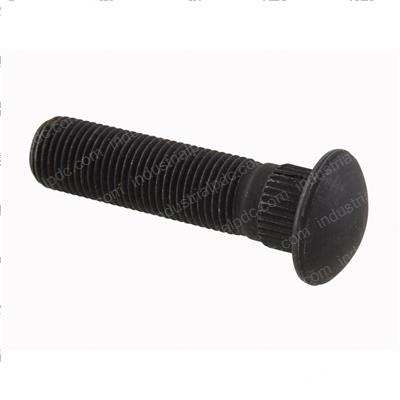 Picture of Bolt