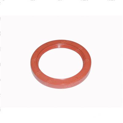 Picture of Seal, Front, Silicone