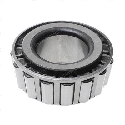 Picture of Cone-Bearing