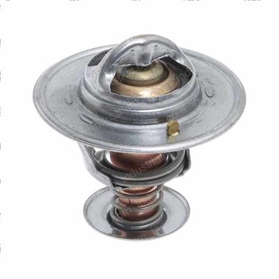 Picture of Thermostat