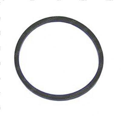 Picture of O-Ring