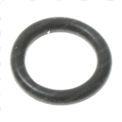 Picture of O-Ring Seal