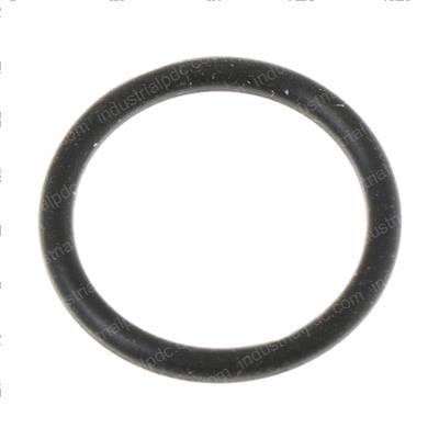 Picture of O-Ring Seal