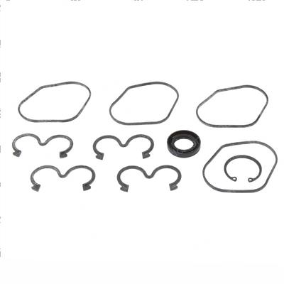 Picture of Pump O/H Kit - Oil