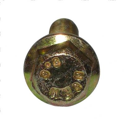Picture of Bolt