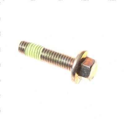 Picture of Screw