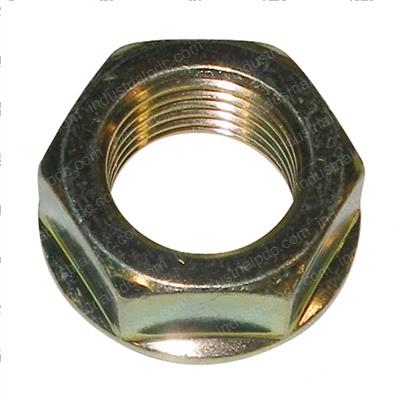 Picture of Nut