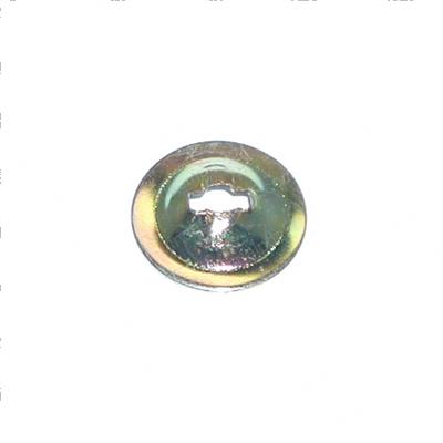 Picture of Cup