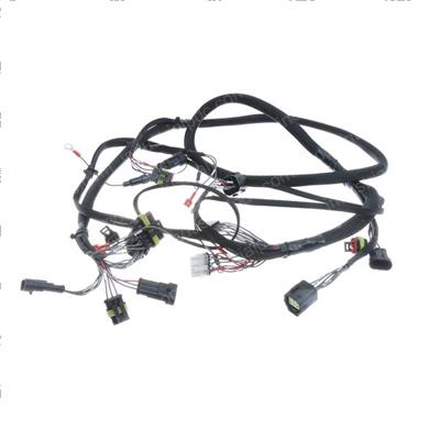 Picture of Main Wiring Harnes
