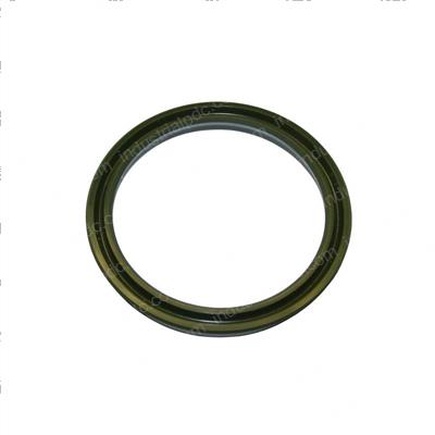 Picture of Seal - Ucup