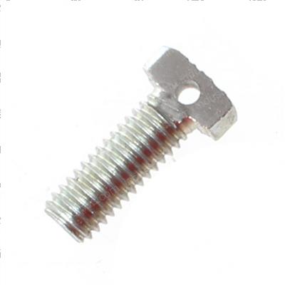 Picture of Bolt