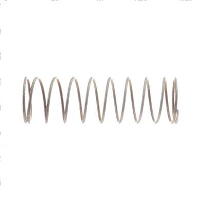 Picture of Spring - Main Diaphragm