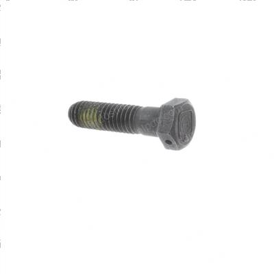 Picture of Bolt