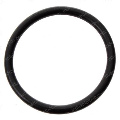 Picture of O-Ring
