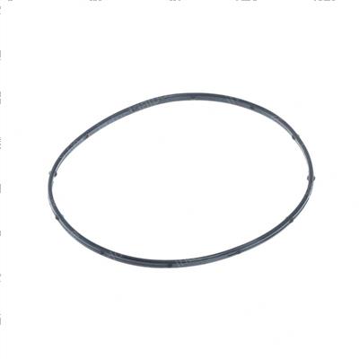 Picture of O-Ring