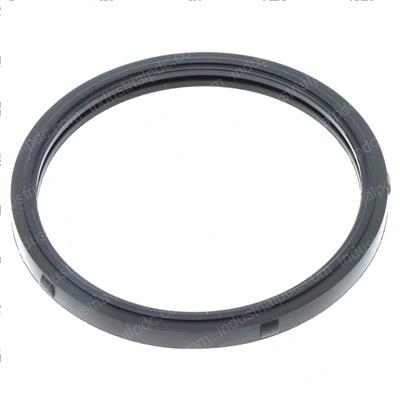 Picture of O-Ring