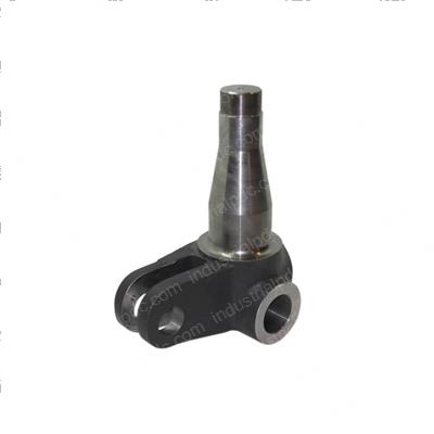 Picture of Spindle-Steering (ri