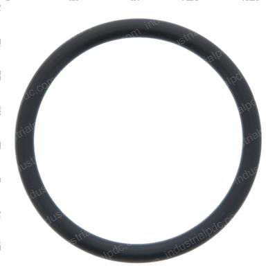 Picture of O-Ring