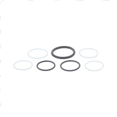 Picture of Seal Kit - Valve