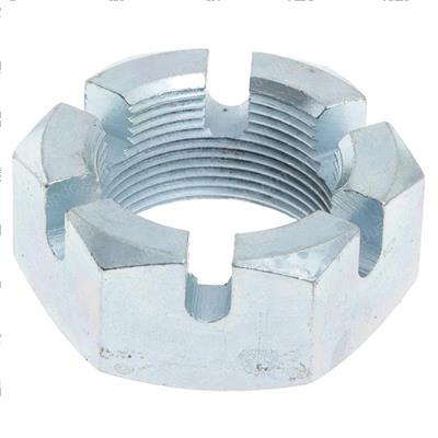 Picture of Nut