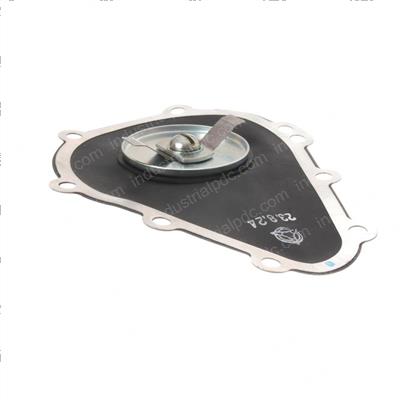 Picture of Diaphragm Sub Assembly