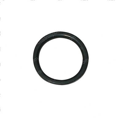 Picture of O-Ring
